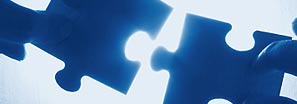 Shared Hosting Plans